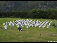 2011 06 22 2403-border